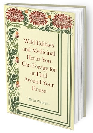 Wild Edibles You Can Forage for 
or Find Around Your House, Along with the Home Doctor book